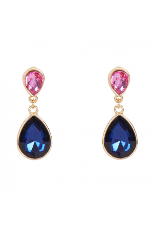 Unique Wild Bright Diamond Earrings