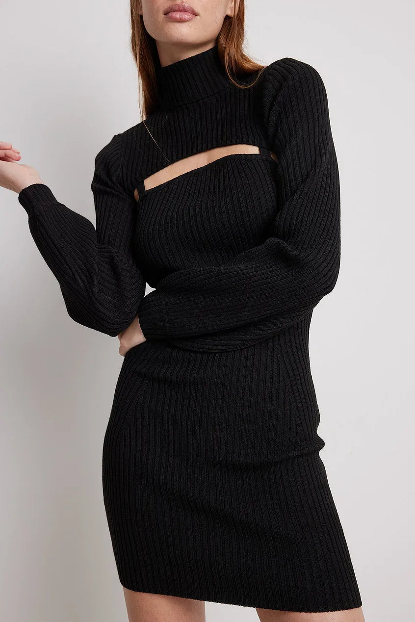 Rib Knitted Mini Dress